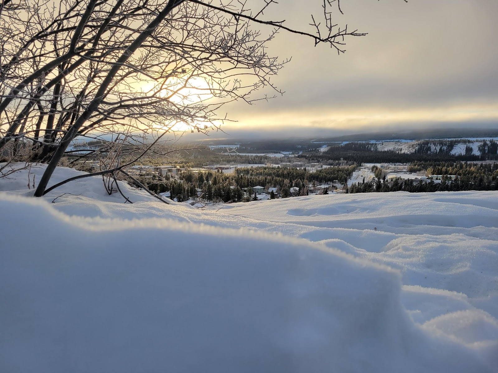Yukon landscape 