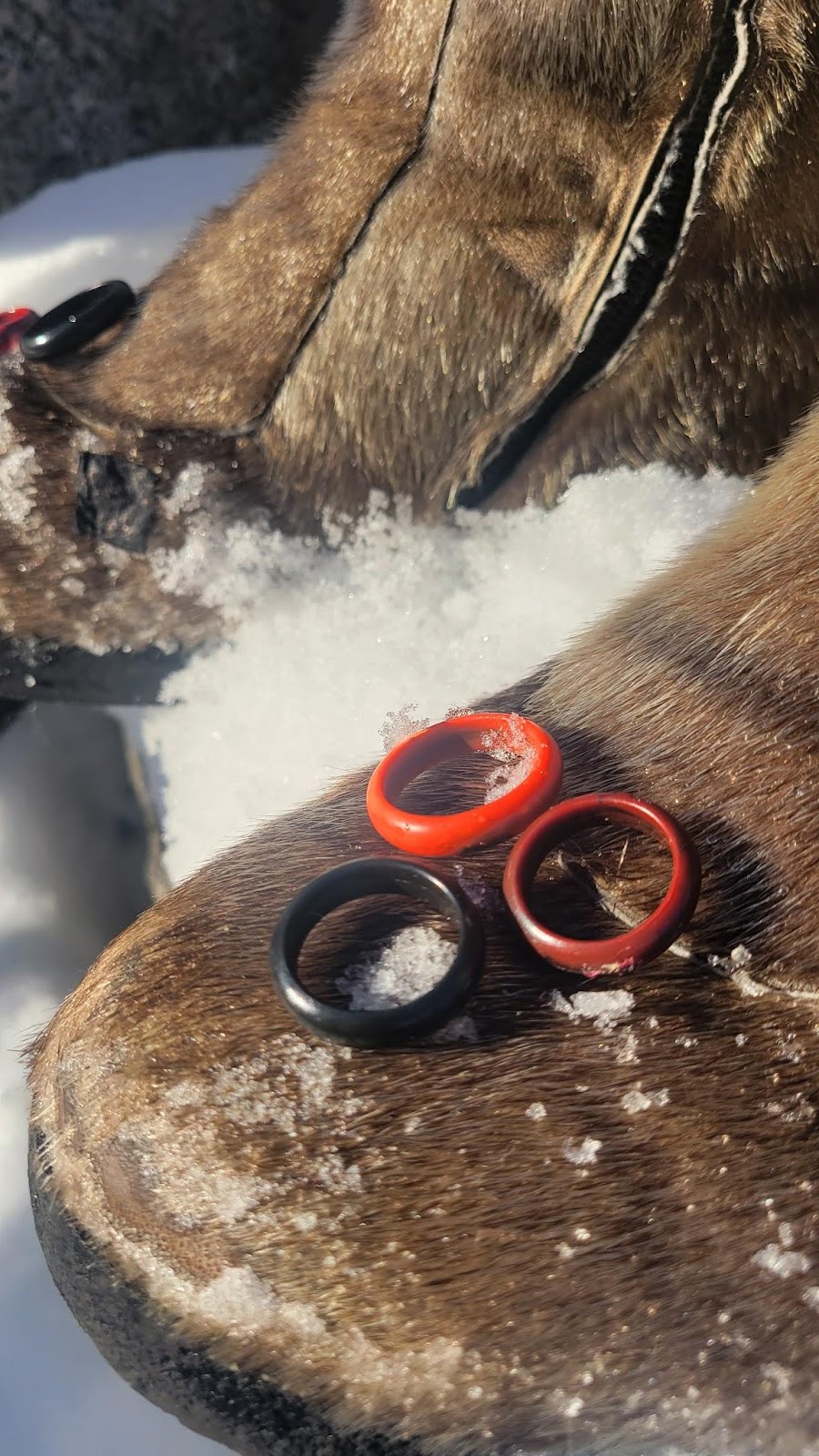 Yukon plastics ring on top of a fair snow boots surrounded by snow